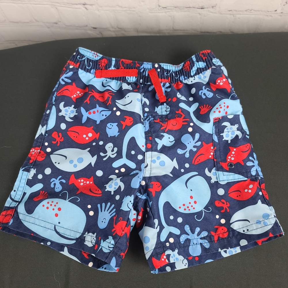 Carter's Boys sealife swim trunks. 18m